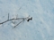 20101130061007