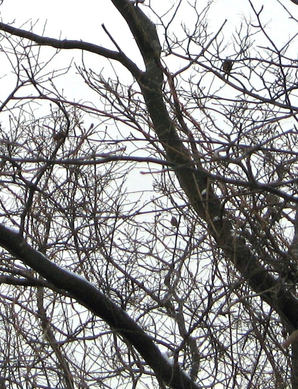f:id:atarou:20101201193049j:image f:id:atarou:20101201193049j:image