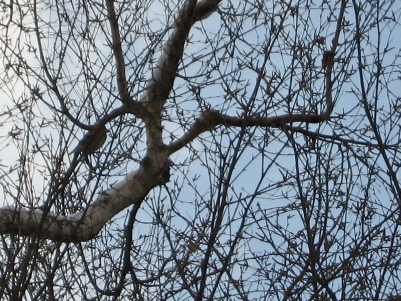 f:id:atarou:20101201193939j:image f:id:atarou:20101201193939j:image