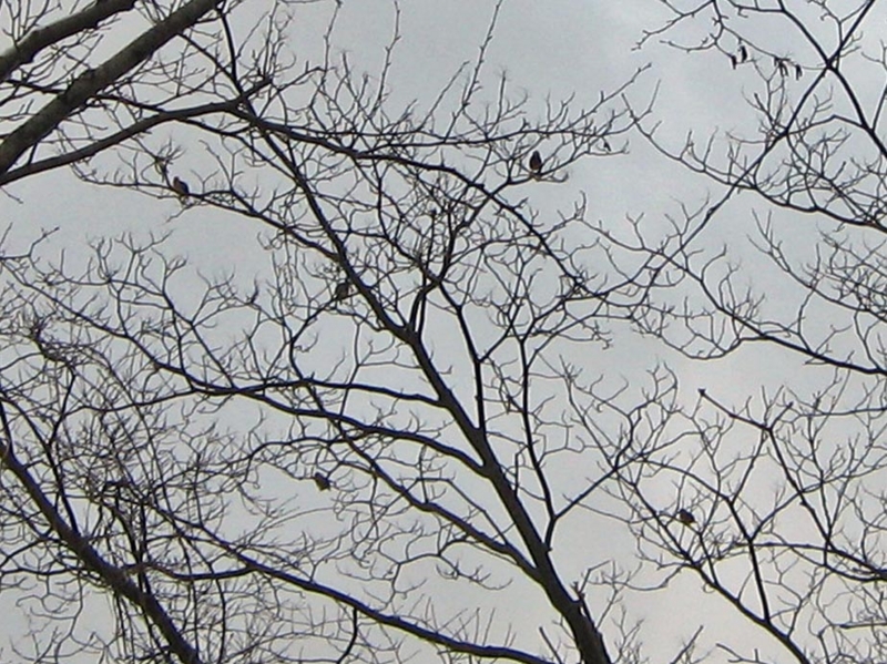 f:id:atarou:20101201193940j:image f:id:atarou:20101201193940j:image