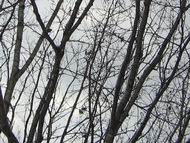 f:id:atarou:20101201193941j:image f:id:atarou:20101201193941j:image