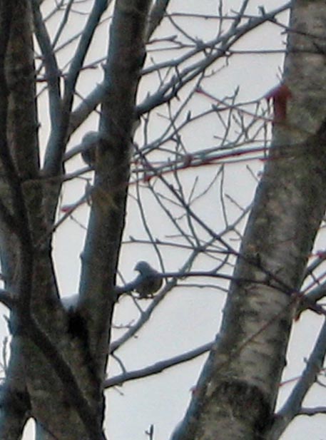 f:id:atarou:20101201193943j:image f:id:atarou:20101201193943j:image