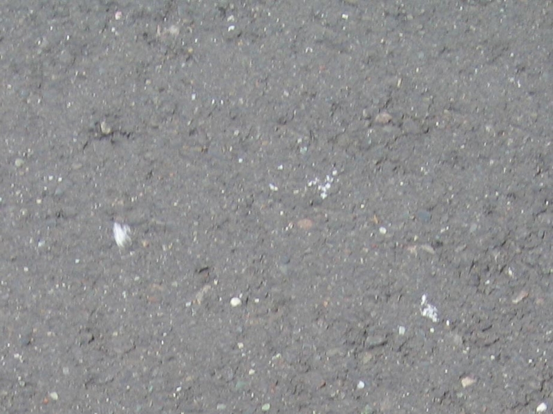 f:id:atarou:20101210203047j:image