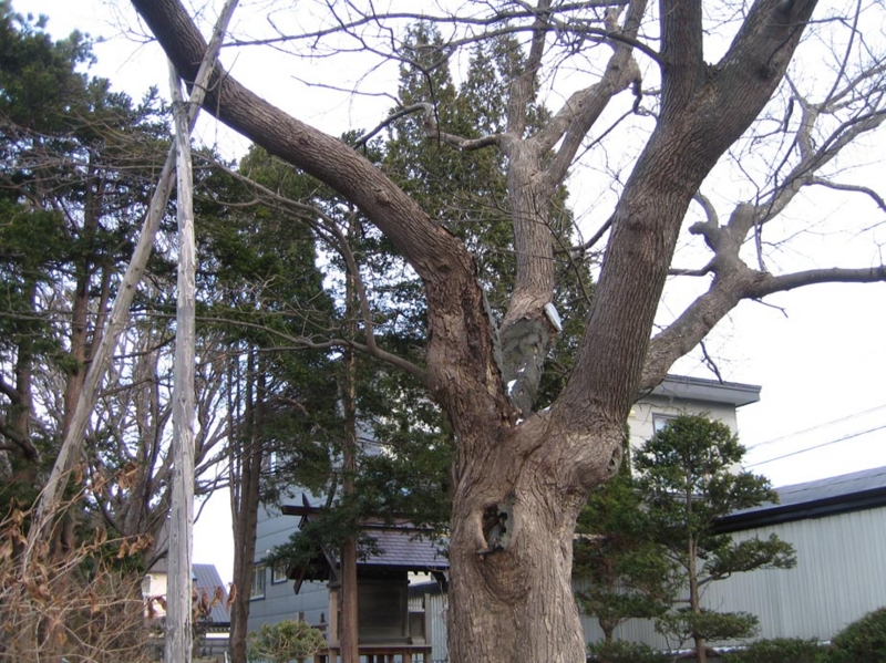 f:id:atarou:20101210204841j:image
