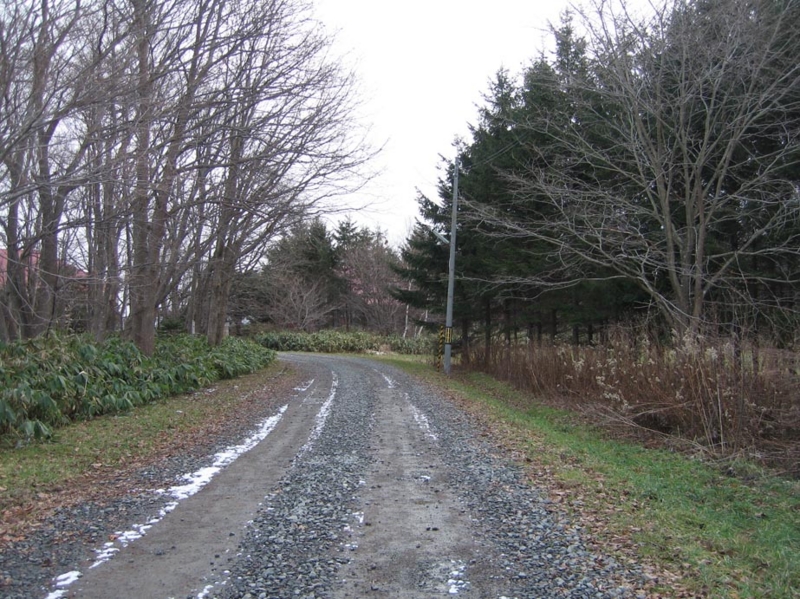 f:id:atarou:20101211061801j:image