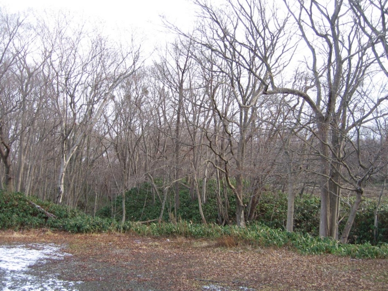 f:id:atarou:20101211200931j:image