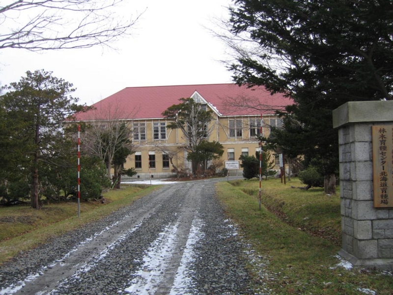 f:id:atarou:20101211200933j:image