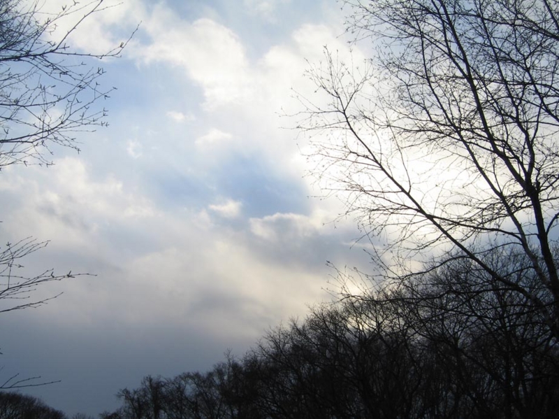f:id:atarou:20101212064643j:image