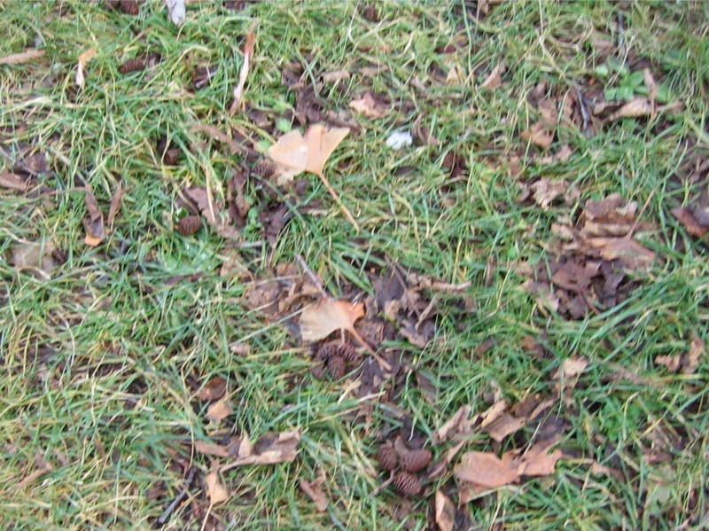 f:id:atarou:20101212064645j:image