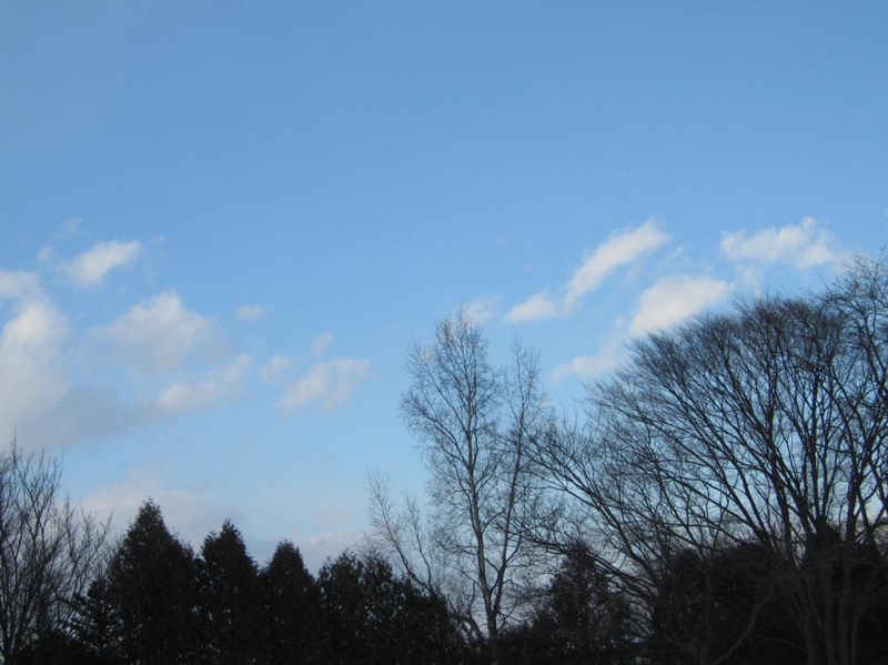 f:id:atarou:20101227191321j:image