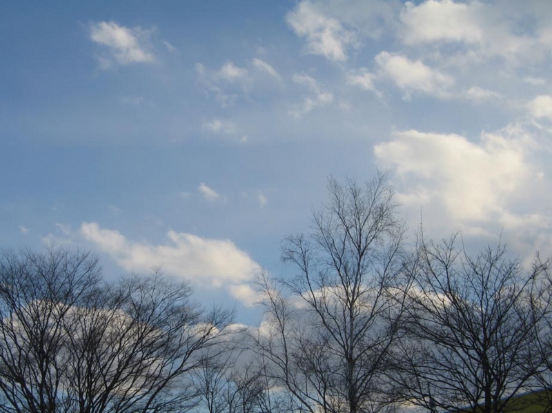 f:id:atarou:20101227191322j:image