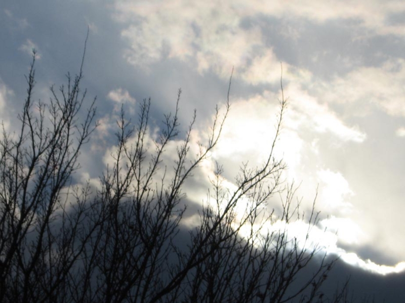 f:id:atarou:20101227191323j:image