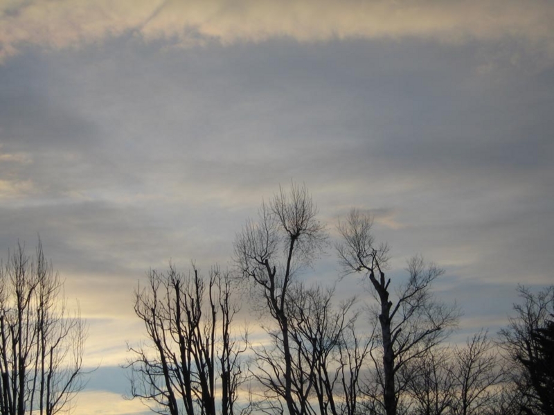f:id:atarou:20101228071627j:image