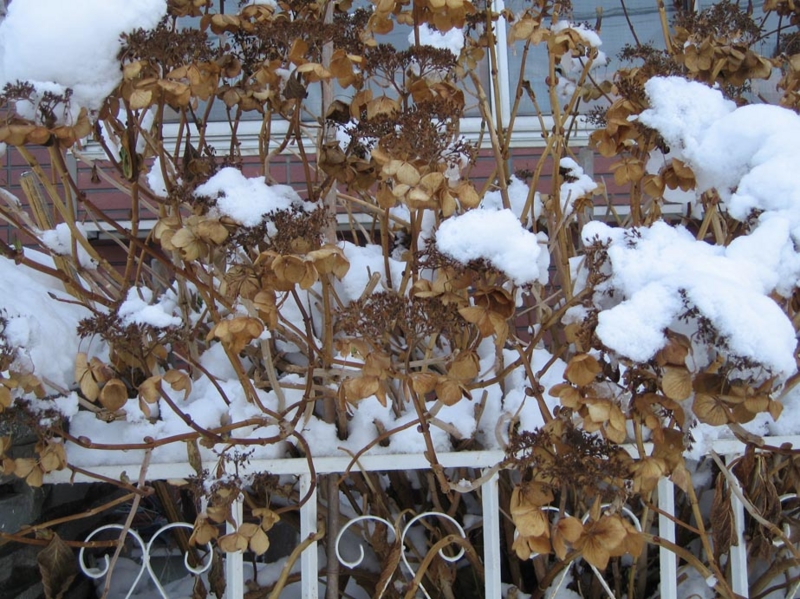 f:id:atarou:20101231203558j:image f:id:atarou:20101231203558j:image