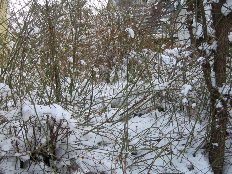 f:id:atarou:20110101064056j:image f:id:atarou:20110101064056j:image