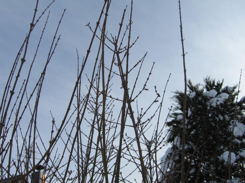 f:id:atarou:20110101064057j:image f:id:atarou:20110101064057j:image