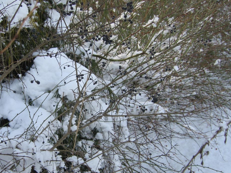 f:id:atarou:20110101064058j:image f:id:atarou:20110101064058j:image