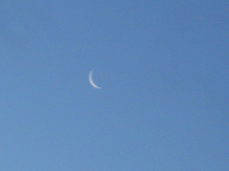 f:id:atarou:20110101084307j:image f:id:atarou:20110101084307j:image