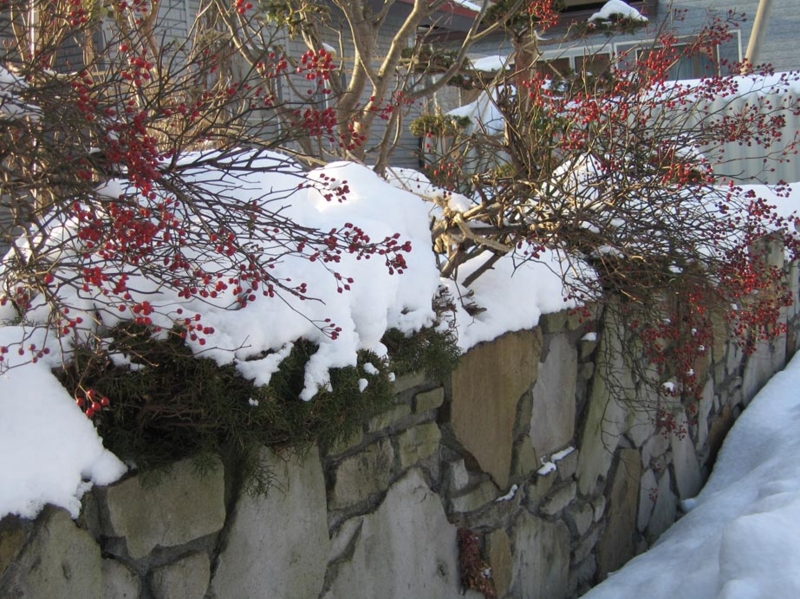 f:id:atarou:20110104065327j:image