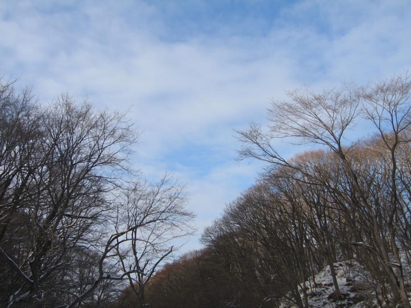 f:id:atarou:20110104070832j:image