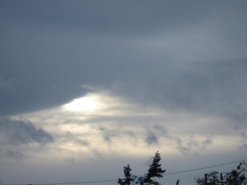 f:id:atarou:20110106070201j:image