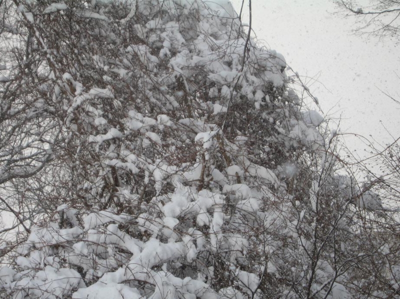 f:id:atarou:20110109063605j:image