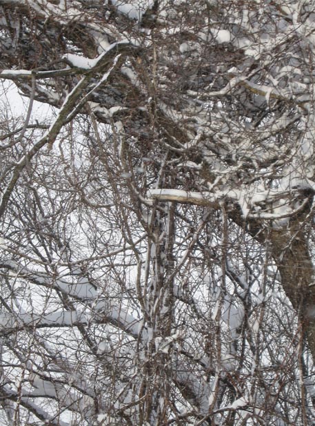 f:id:atarou:20110109063606j:image