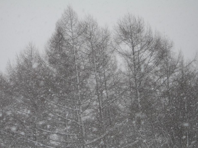 f:id:atarou:20110109064701j:image