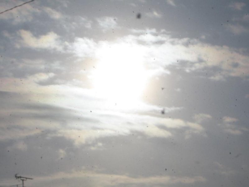 f:id:atarou:20110109065807j:image