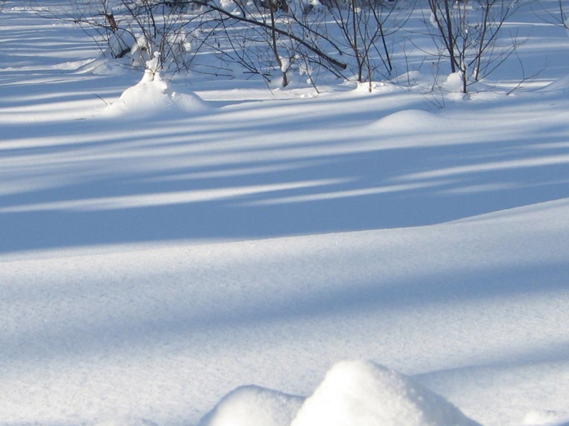 f:id:atarou:20110111192006j:image