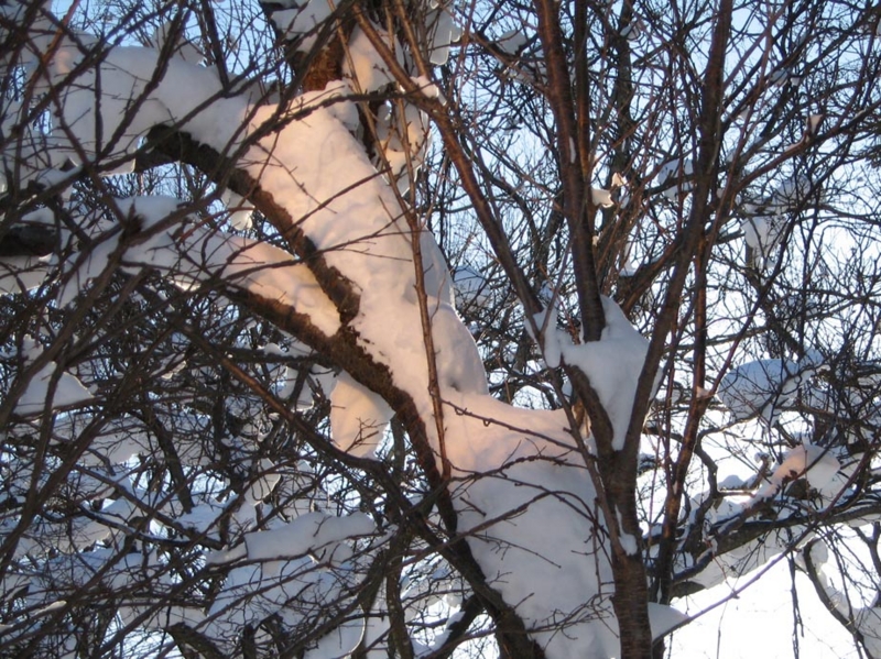 f:id:atarou:20110112063359j:image