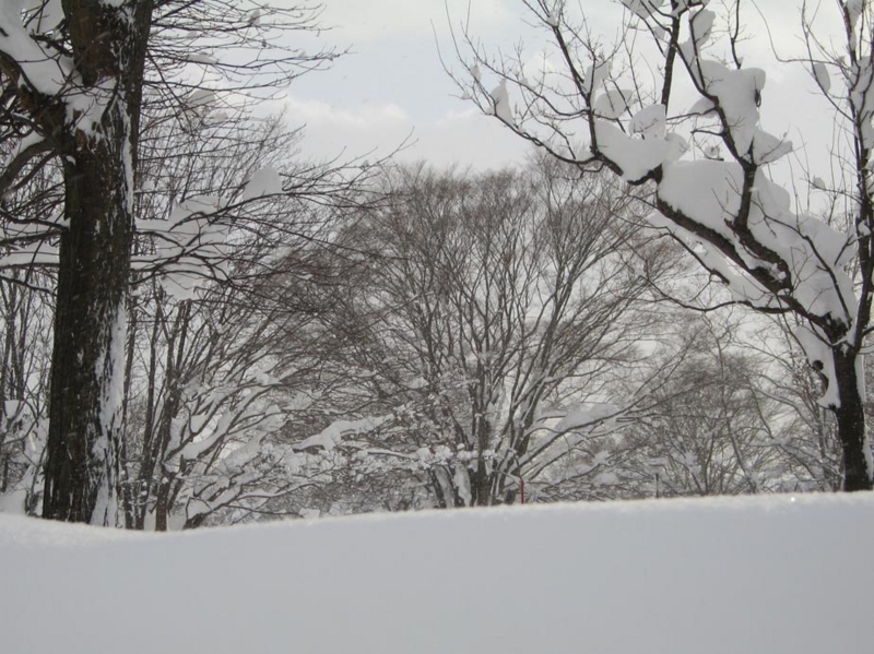 f:id:atarou:20110113193120j:image