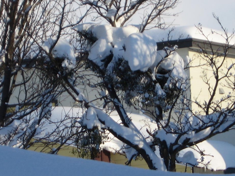 f:id:atarou:20110113194046j:image