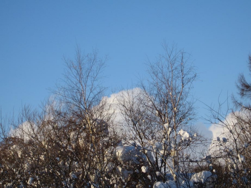 f:id:atarou:20110114072122j:image