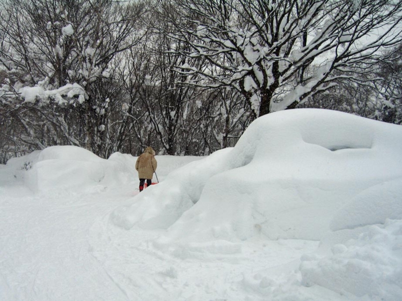 f:id:atarou:20110117072906j:image