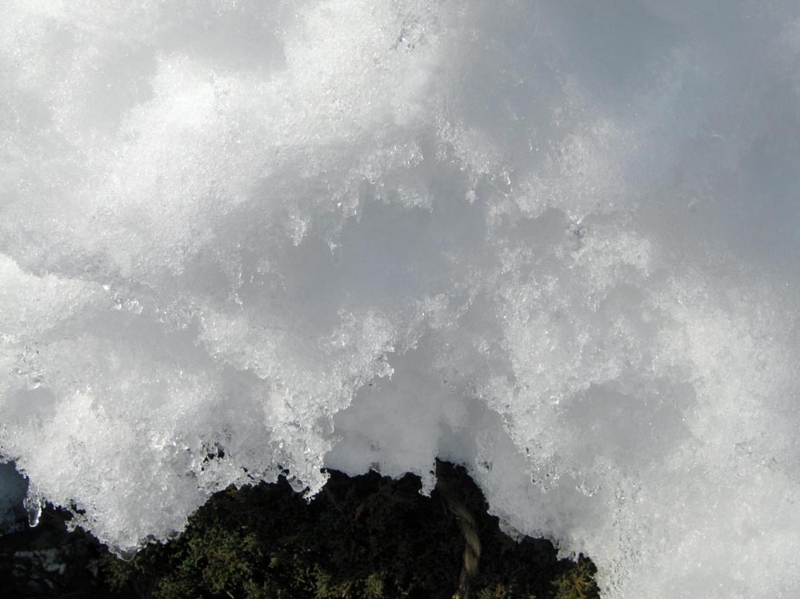 f:id:atarou:20110120064010j:image