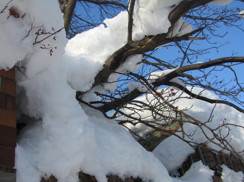 f:id:atarou:20110120070152j:image