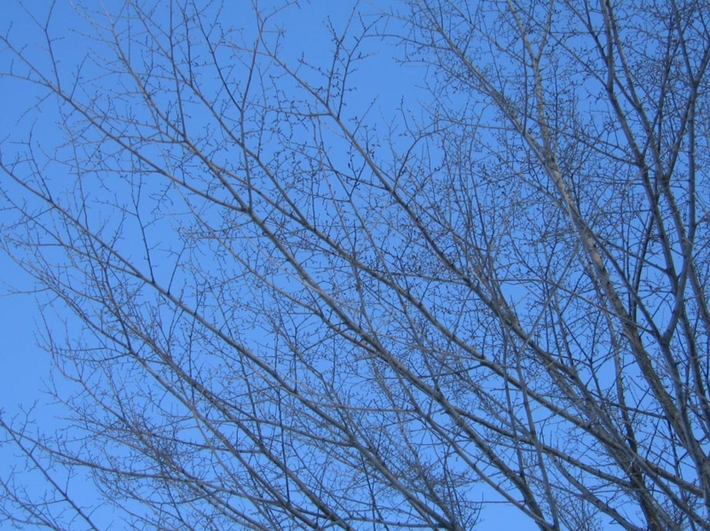 f:id:atarou:20110120070155j:image