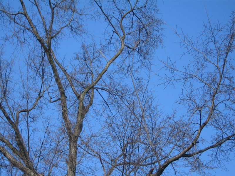 f:id:atarou:20110120071306j:image