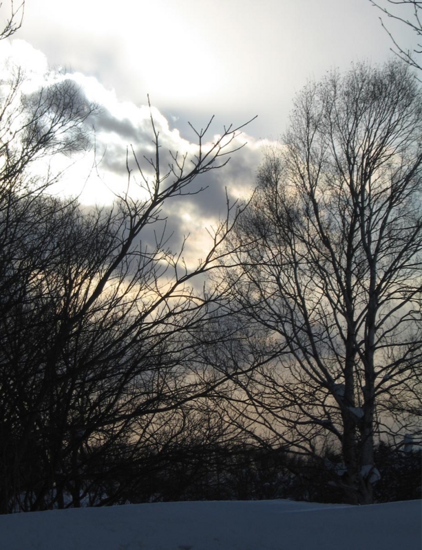 f:id:atarou:20110121180715j:image
