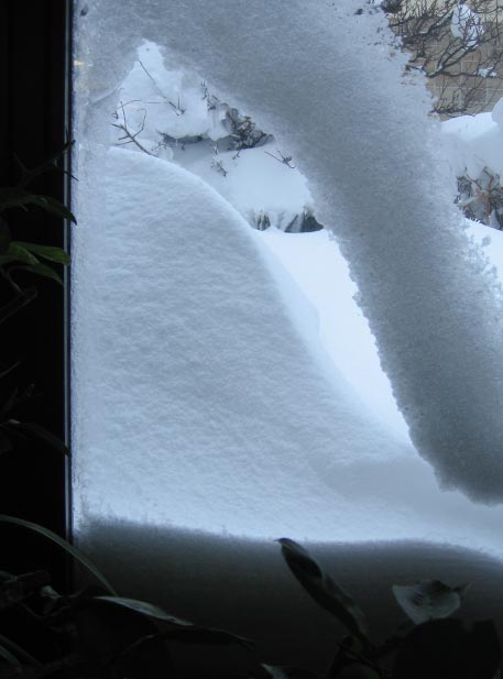 f:id:atarou:20110121181218j:image