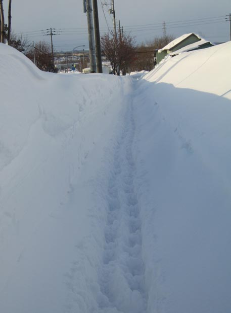 f:id:atarou:20110121192128j:image