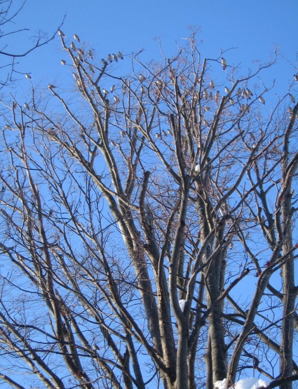 f:id:atarou:20110124200934j:image f:id:atarou:20110124200934j:image