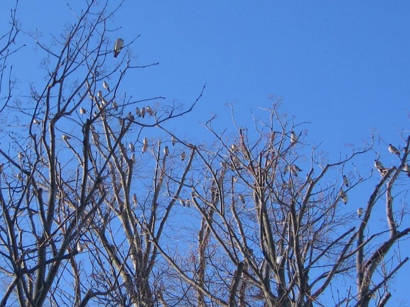 f:id:atarou:20110124203234j:image f:id:atarou:20110124203234j:image
