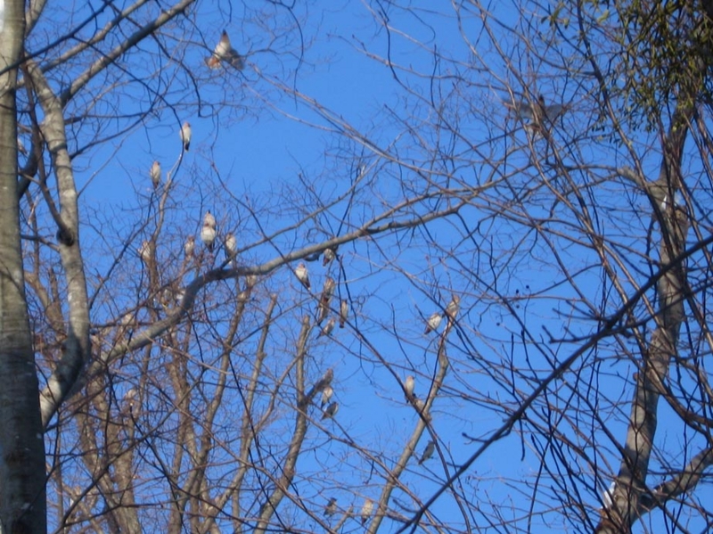 f:id:atarou:20110124203237j:image f:id:atarou:20110124203237j:image
