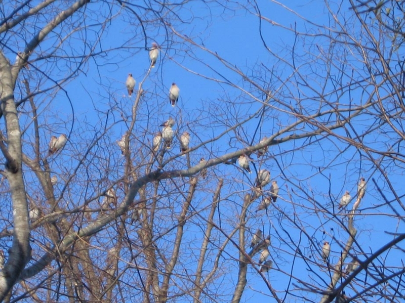 f:id:atarou:20110124203238j:image f:id:atarou:20110124203238j:image