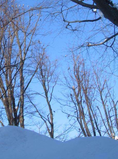 f:id:atarou:20110124203239j:image f:id:atarou:20110124203239j:image