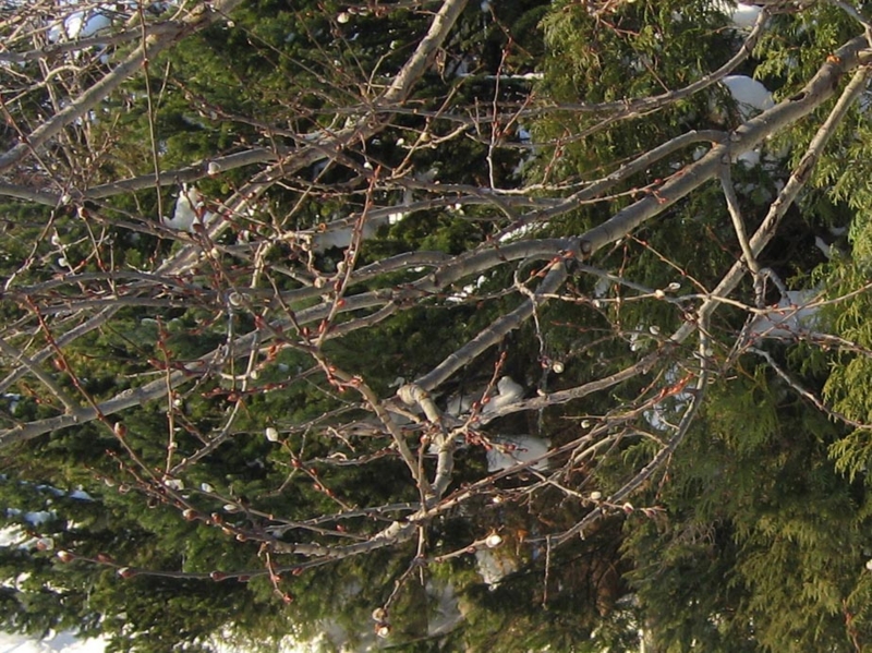 f:id:atarou:20110125073036j:image f:id:atarou:20110125073036j:image