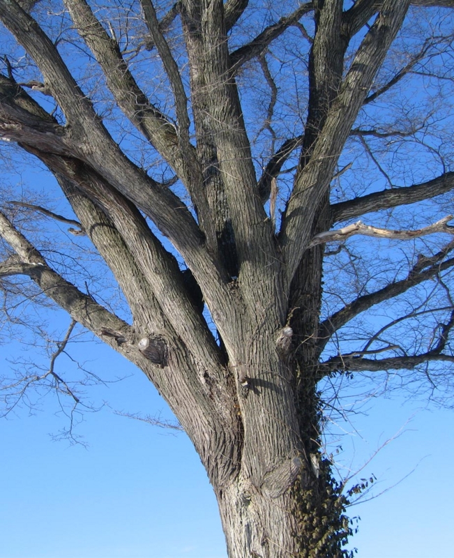f:id:atarou:20110127201524j:image