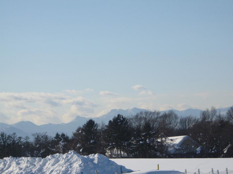 f:id:atarou:20110128070937j:image